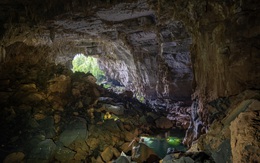 Du lịch rừng sâu: Dấu chân của lòng tôn trọng thiên nhiên